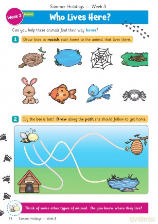 CGP Summer Holidays Activity Workbook - for kids between Reception and Year 1 - CGP Books [KSIĄŻKA]