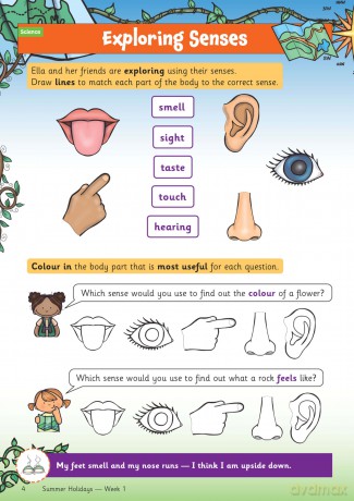 CGP Summer Holidays Activity Workbook - for kids between Year 1 and Year 2 - CGP Books [KSIĄŻKA]