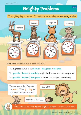 CGP Summer Holidays Activity Workbook - for kids between Year 2 and Year 3 - CGP Books [KSIĄŻKA]