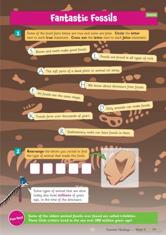 CGP Summer Holidays Activity Workbook - for kids between Year 3 and Year 4 - CGP Books [KSIĄŻKA]