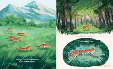 Cheetahs Return to India: The True Story of Aasha and Pavan - Kate Rietema [KSIĄŻKA]