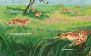 Cheetahs Return to India: The True Story of Aasha and Pavan - Kate Rietema [KSIĄŻKA]