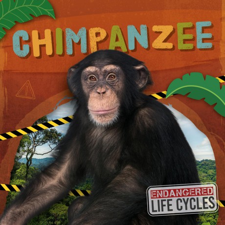 Chimpanzee - E.C. Andrews [KSIĄŻKA]
