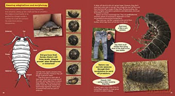 Chris Humfrey's Coolest Creepy Crawlies: Delve into the fascinating micro world of Australia's incredible invertebrate creatures - Chris Humfrey [KSIĄŻKA]