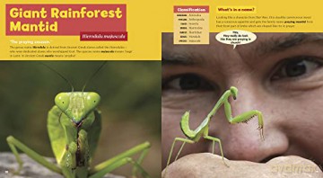 Chris Humfrey's Coolest Creepy Crawlies: Delve into the fascinating micro world of Australia's incredible invertebrate creatures - Chris Humfrey [KSIĄŻKA]