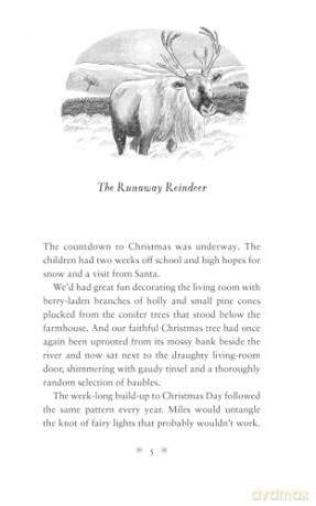 Christmas Tales from the Farm - Amanda Owen [KSIĄŻKA]