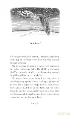 Christmas Tales from the Farm - Amanda Owen [KSIĄŻKA]