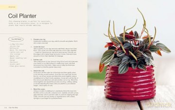 Clay Your Way: 20 simple projects to make your own homewares and accessories with air-dry clay: Over 20 simple projects to make with air-dry clay - Lolita Olympia [KSIĄŻKA]