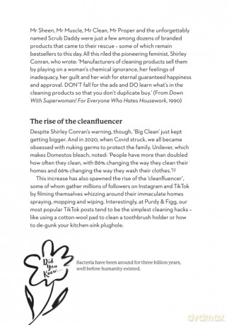 Clever Cleaning: The natural way to clean everything - Charlotte Figg and Purdy Rubin [KSIĄŻKA]