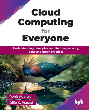 Cloud Computing for Everyone: Understanding principles, architecture, security, data, and green practices - Rohit Agarwal [KSIĄŻKA]