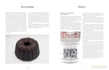 Collectible Cast Iron: Bundt Pans and Gugelhupf Cake Forms - John Briggs [KSIĄŻKA]