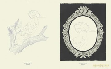 Coloready Birds: 20 Modern Paint-by-Number Prints - A.K. Roxas [KSIĄŻKA]
