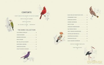 Coloready Birds: 20 Modern Paint-by-Number Prints - A.K. Roxas [KSIĄŻKA]