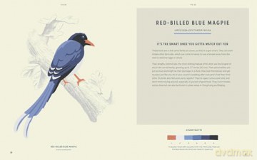 Coloready Birds: 20 Modern Paint-by-Number Prints - A.K. Roxas [KSIĄŻKA]