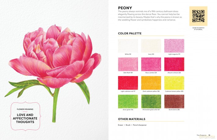 Colored Pencil Workbook: Fabulous Flowers: Techniques, Templates, and Video Tutorials for Beginner-Friendly Projects - Sun-Kyong Clifford [KSIĄŻKA]