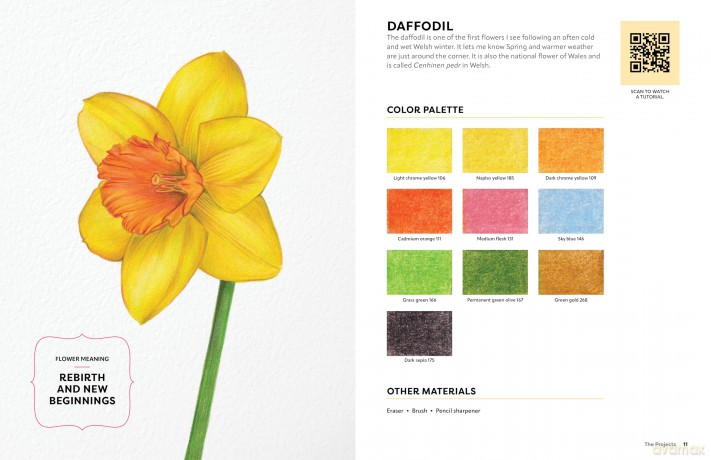 Colored Pencil Workbook: Fabulous Flowers: Techniques, Templates, and Video Tutorials for Beginner-Friendly Projects - Sun-Kyong Clifford [KSIĄŻKA]