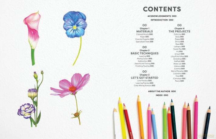 Colored Pencil Workbook: Fabulous Flowers: Techniques, Templates, and Video Tutorials for Beginner-Friendly Projects - Sun-Kyong Clifford [KSIĄŻKA]