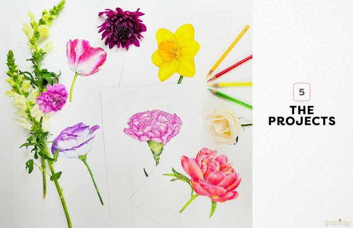 Colored Pencil Workbook: Fabulous Flowers: Techniques, Templates, and Video Tutorials for Beginner-Friendly Projects - Sun-Kyong Clifford [KSIĄŻKA]