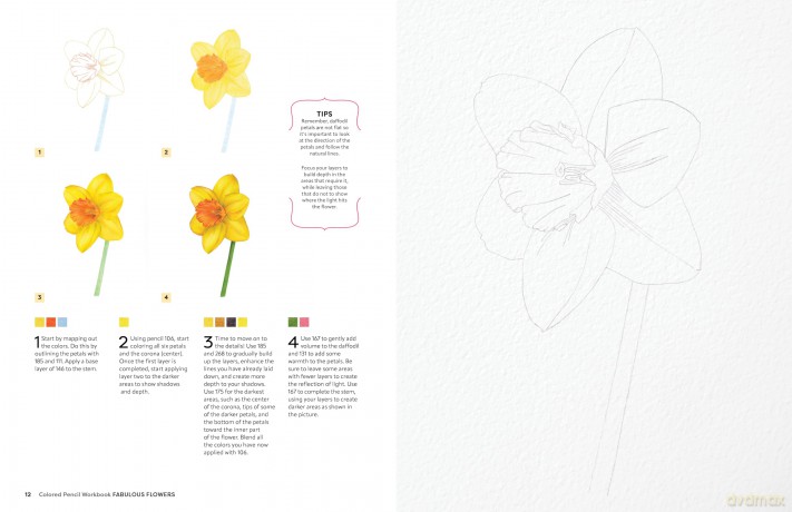 Colored Pencil Workbook: Fabulous Flowers: Techniques, Templates, and Video Tutorials for Beginner-Friendly Projects - Sun-Kyong Clifford [KSIĄŻKA]