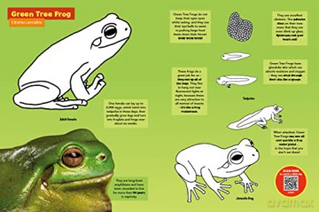 Colour With Chris Humfrey's Awesome Australian Animals: 24 pages of colouring fun - Chris Humfrey [KSIĄŻKA]