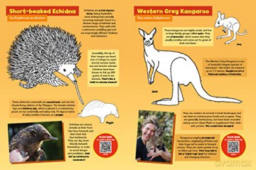 Colour With Chris Humfrey's Awesome Australian Animals: 24 pages of colouring fun - Chris Humfrey [KSIĄŻKA]