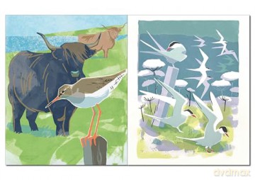 Community: People and Wildlife on the West Coast of Scotland - Jane Smith [KSIĄŻKA]