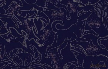 Constellations: A Guide for the Curious - Susan E. Clark [KSIĄŻKA]