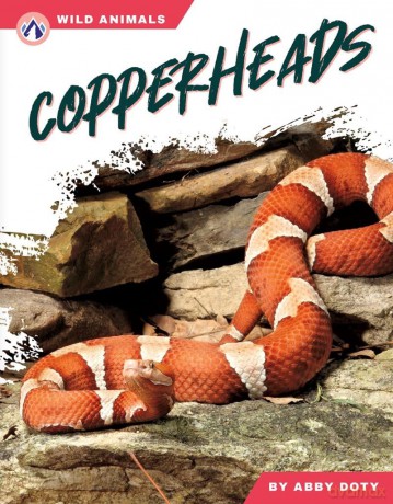 Copperheads - Abby Doty [KSIĄŻKA]