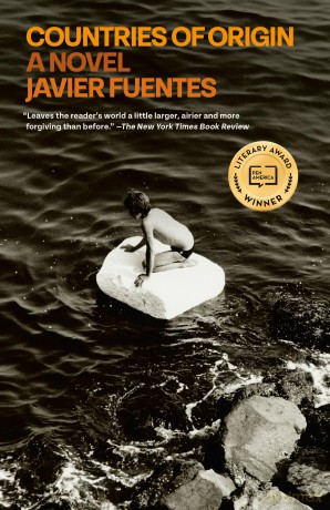 Countries of Origin: A Novel - Javier Fuentes [KSIĄŻKA]