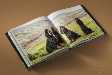 Country Life's Book of Dogs: From Countryside to Hearthside, At Home with Our Four-legged Friends - Agnes Stamp [KSIĄŻKA]