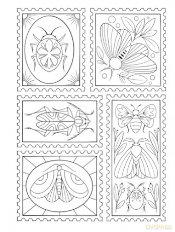 Creative Haven Boho Bugs Coloring Book - Jo Taylor [KSIĄŻKA]