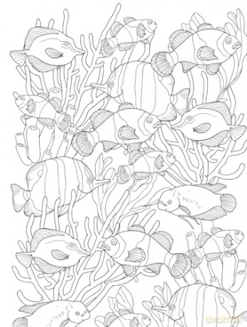 Creative Haven On Island Time Coloring Book - Jessica Mazurkiewicz [KSIĄŻKA]