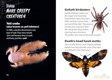 Creepy Creatures: Fluency 12 - Emily Ann Davison [KSIĄŻKA]