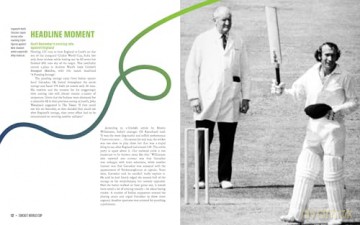 Cricket World Cup: A celebration of the ODI and T20 games - Liam Hauser [KSIĄŻKA]