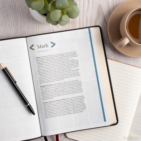 CSB Connecting Scripture New Testament, Black Genuine Leather: A Study Bible of Biblical Allusions and Quotations - Gregory K. Beale [KSIĄŻKA]