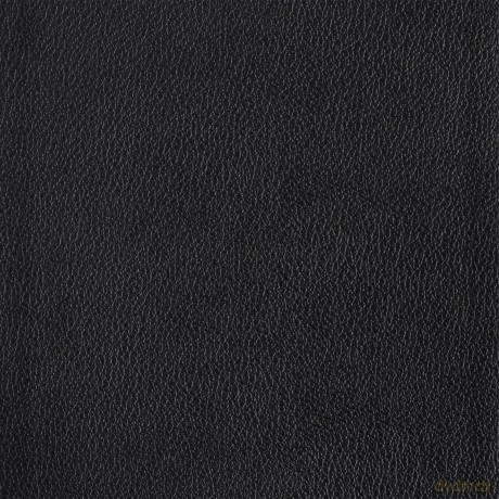CSB Connecting Scripture New Testament, Black Genuine Leather: A Study Bible of Biblical Allusions and Quotations - Gregory K. Beale [KSIĄŻKA]