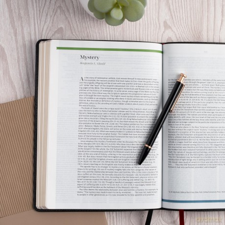 CSB Connecting Scripture New Testament, Black Genuine Leather: A Study Bible of Biblical Allusions and Quotations - Gregory K. Beale [KSIĄŻKA]