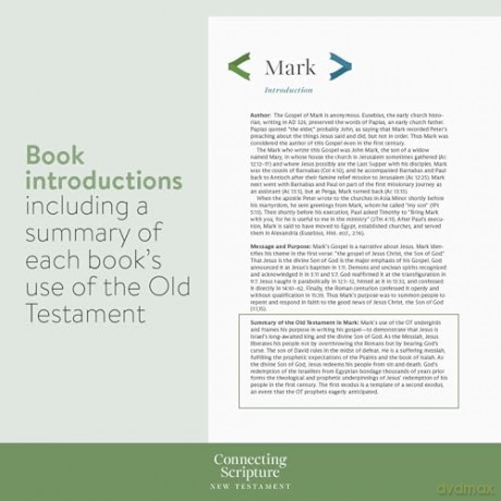 CSB Connecting Scripture New Testament, Black Genuine Leather: A Study Bible of Biblical Allusions and Quotations - Gregory K. Beale [KSIĄŻKA]