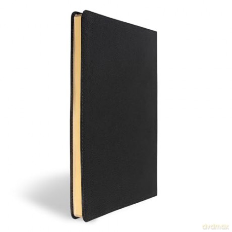 CSB Connecting Scripture New Testament, Black Genuine Leather: A Study Bible of Biblical Allusions and Quotations - Gregory K. Beale [KSIĄŻKA]