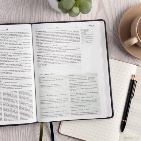 CSB Connecting Scripture New Testament, Slate LeatherTouch: A Study Bible of Biblical Allusions and Quotations - Gregory K. Beale [KSIĄŻKA]