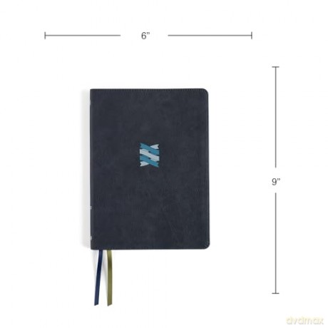 CSB Connecting Scripture New Testament, Slate LeatherTouch: A Study Bible of Biblical Allusions and Quotations - Gregory K. Beale [KSIĄŻKA]
