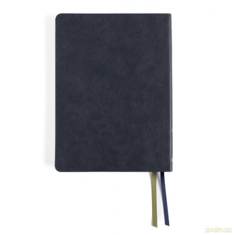 CSB Connecting Scripture New Testament, Slate LeatherTouch: A Study Bible of Biblical Allusions and Quotations - Gregory K. Beale [KSIĄŻKA]