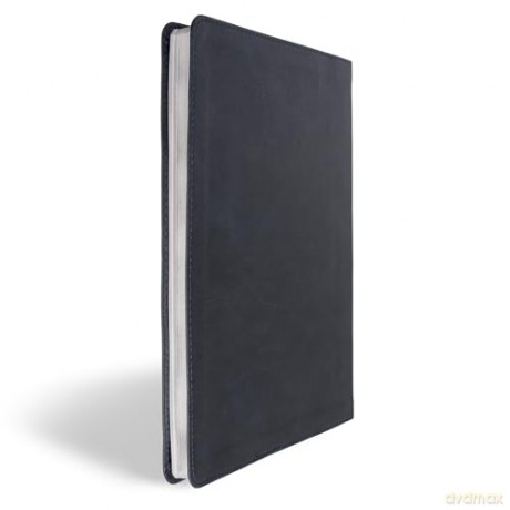 CSB Connecting Scripture New Testament, Slate LeatherTouch: A Study Bible of Biblical Allusions and Quotations - Gregory K. Beale [KSIĄŻKA]