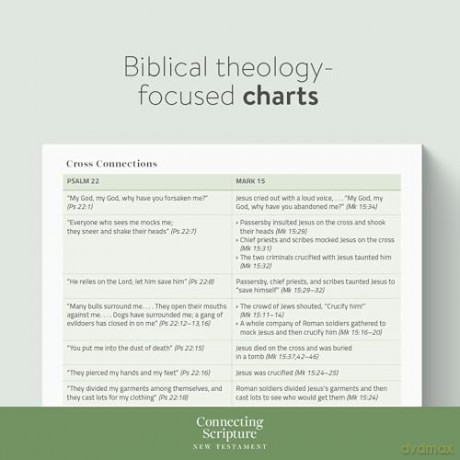 CSB Connecting Scripture New Testament, Slate LeatherTouch: A Study Bible of Biblical Allusions and Quotations - Gregory K. Beale [KSIĄŻKA]