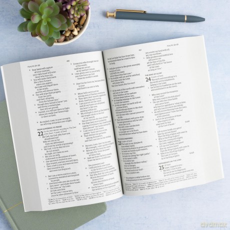 CSB Outreach Bible, Anglicised Edition - CSB Bibles by Holman [KSIĄŻKA]