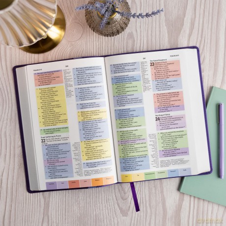 CSB Rainbow Study Bible, Purple LeatherTouch - CSB Bibles by Holman [KSIĄŻKA]