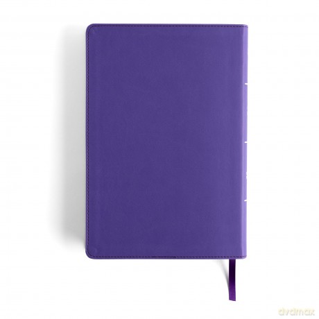 CSB Rainbow Study Bible, Purple LeatherTouch - CSB Bibles by Holman [KSIĄŻKA]