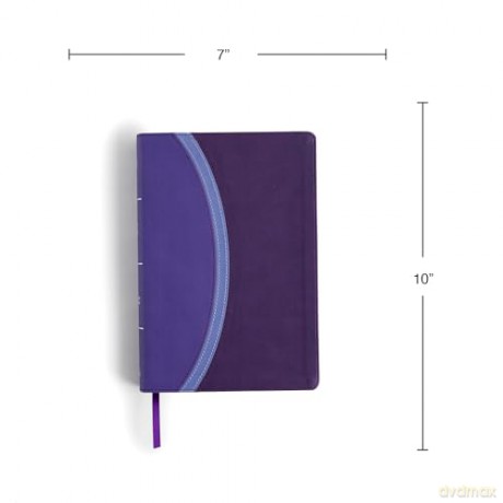 CSB Rainbow Study Bible, Purple LeatherTouch - CSB Bibles by Holman [KSIĄŻKA]