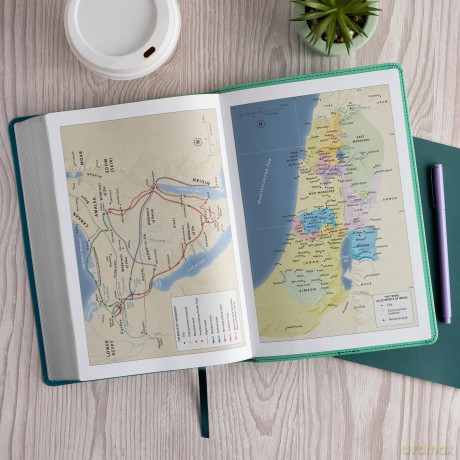 CSB Rainbow Study Bible, Teal LeatherTouch - CSB Bibles by Holman [KSIĄŻKA]