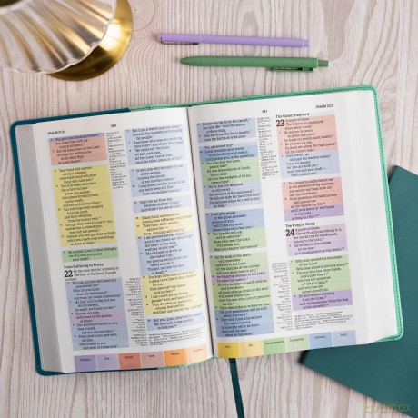 CSB Rainbow Study Bible, Teal LeatherTouch - CSB Bibles by Holman [KSIĄŻKA]
